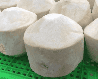 Diamond Coconut — 5
