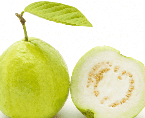 Guava White/Red Flesh — 6