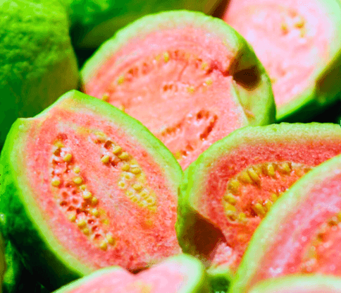 Guava White/Red Flesh — 7