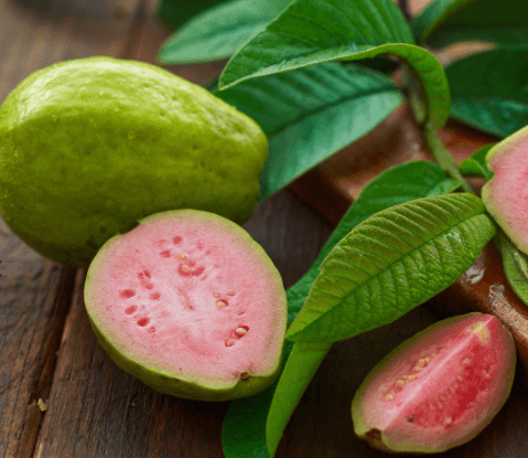 Guava White/Red Flesh — 8