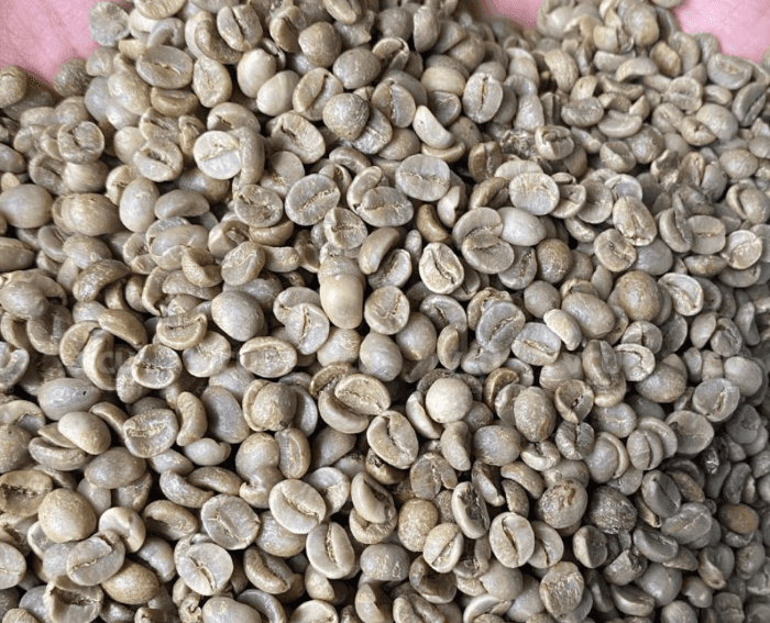 ROBUSTA GRADE 1 S18/16 CLEAN — 1