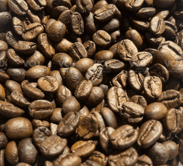 ROBUSTA ROASTED — 1