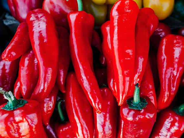 Big Red Chilli — 2