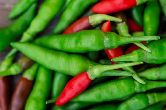 Bird eye chili — 2