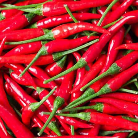 Bird eye chili — 3