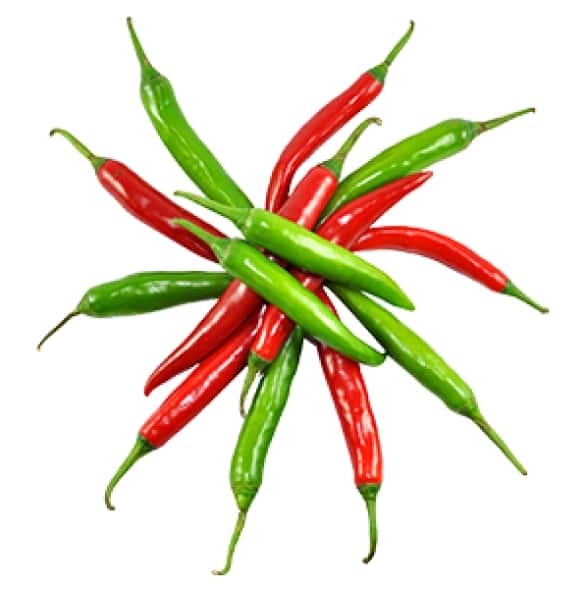Bird eye chili — 1