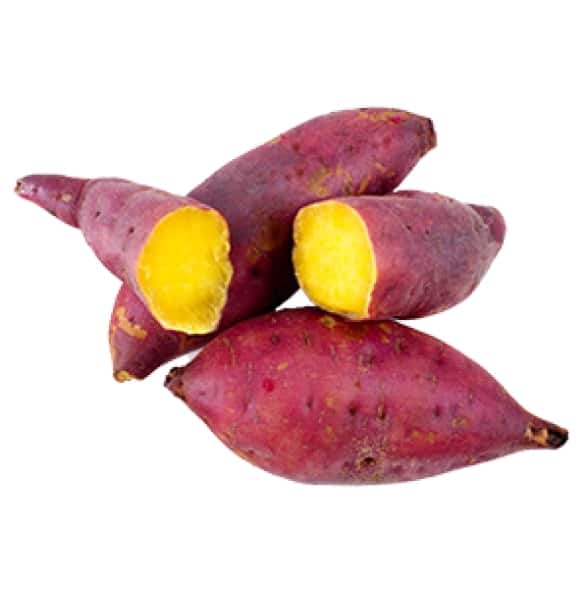 Japanese Purple/Yellow Sweet Potato — 4