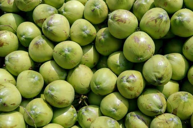 Coconut — 4