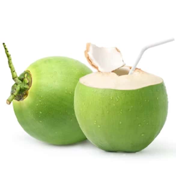 Coconut — 2