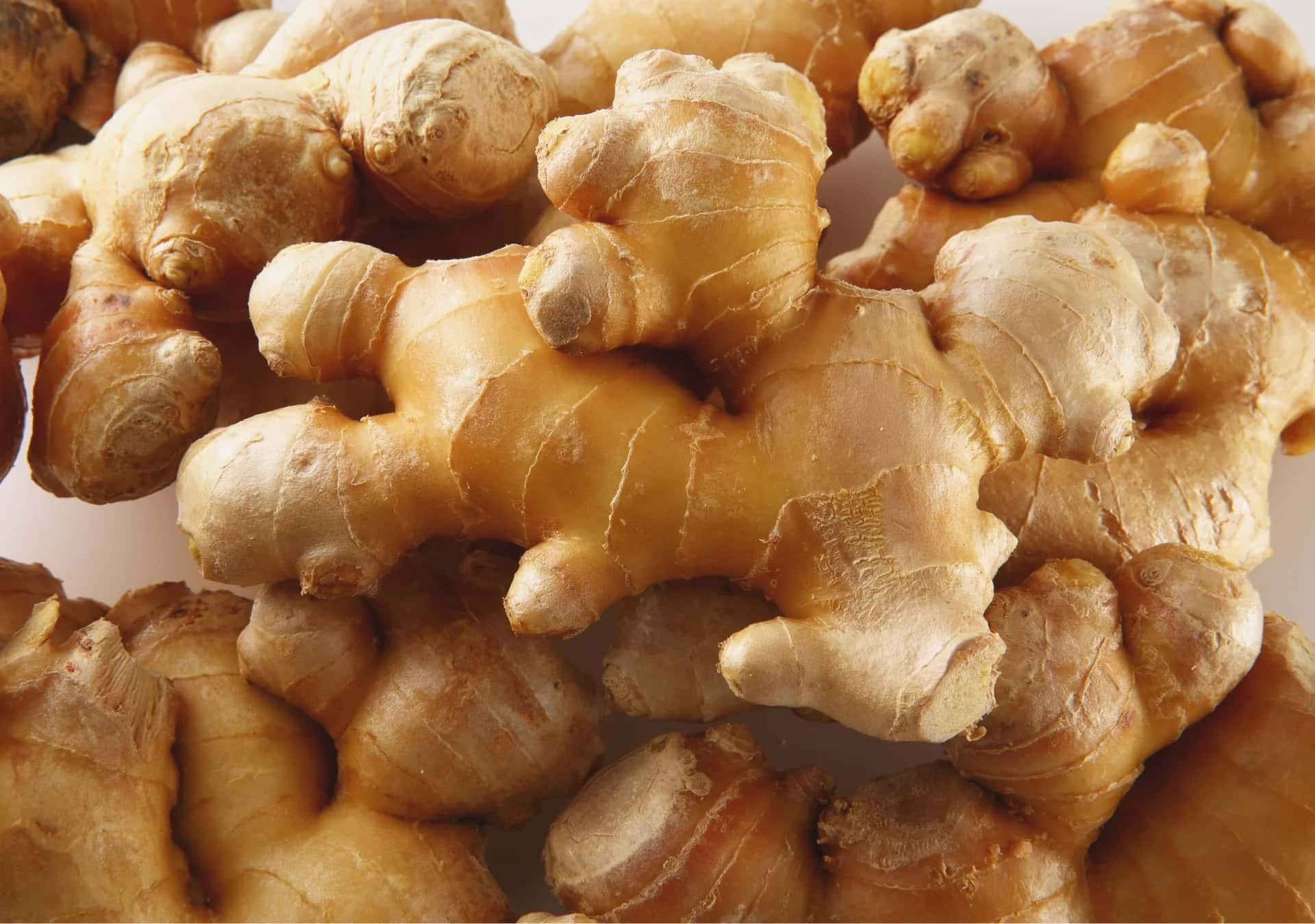 Ginger — 1