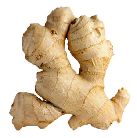 Ginger — 2