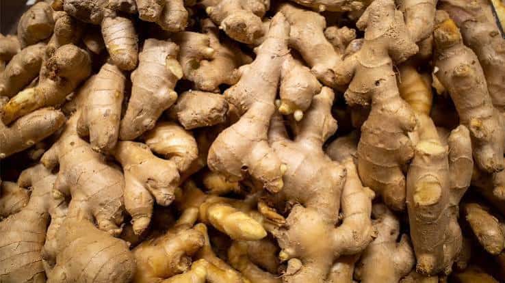 Ginger — 3