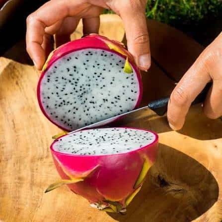 Dragon Fruit — 2