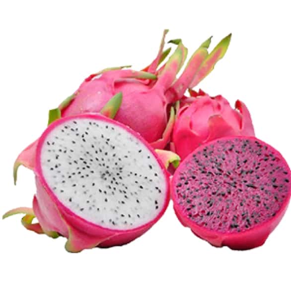 Dragon Fruit — 1
