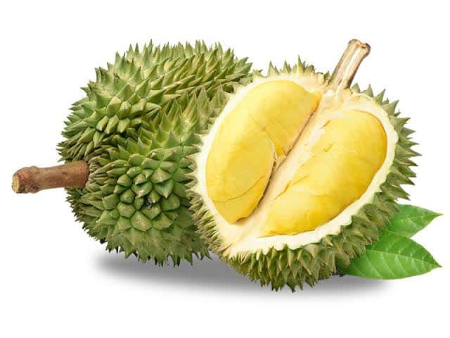Durian — 2