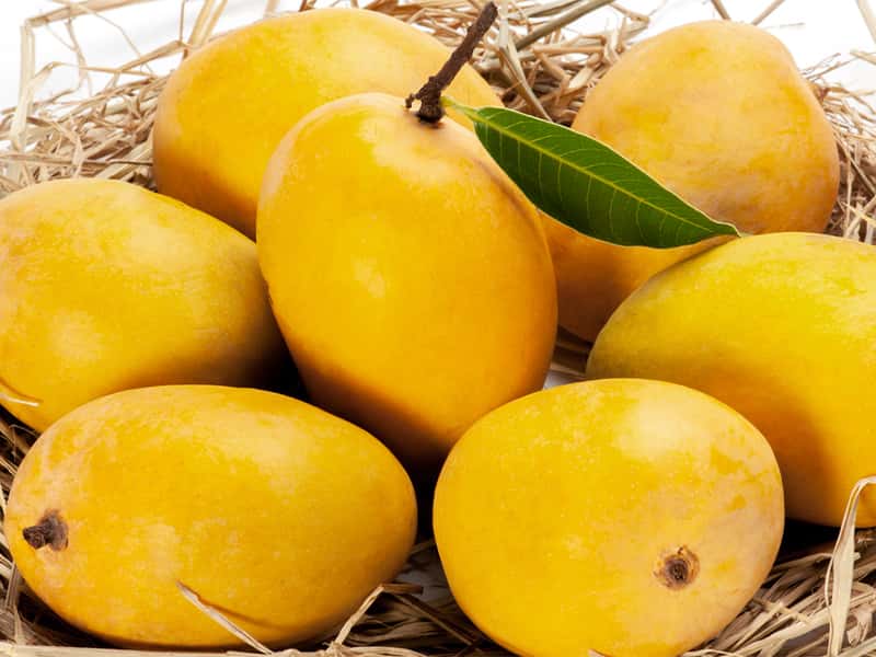 Mango — 1