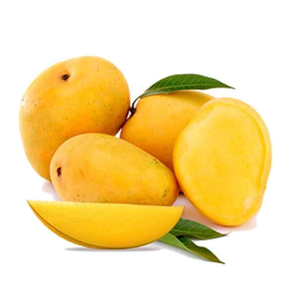 Mango — 2