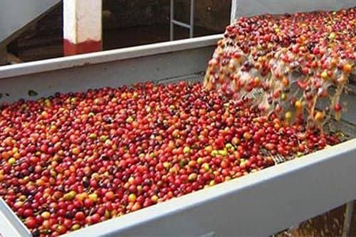 Wash & Float Sort