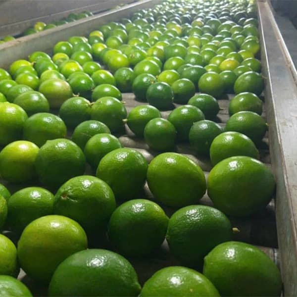 Receiving and Quality Inspection