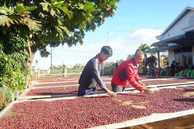 Step 4: Drying & Finishing
