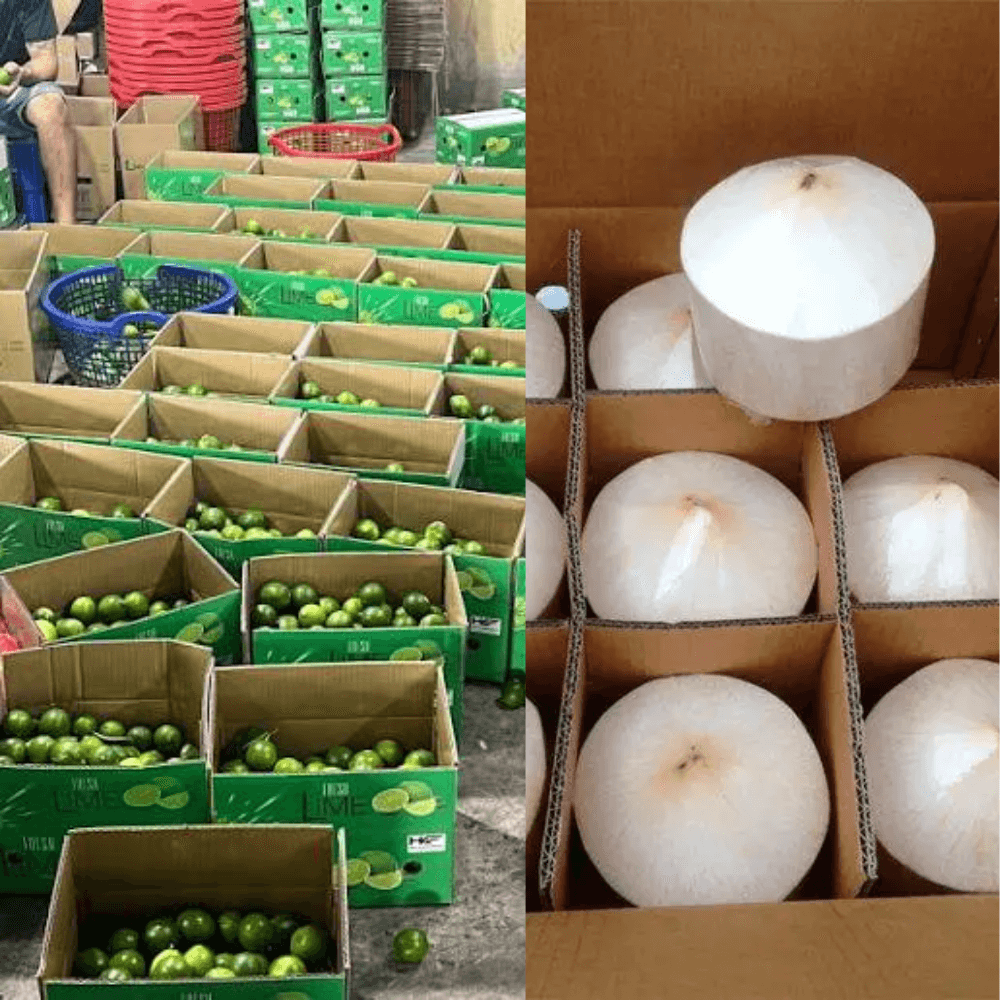 Drying, Treatment and Packaging