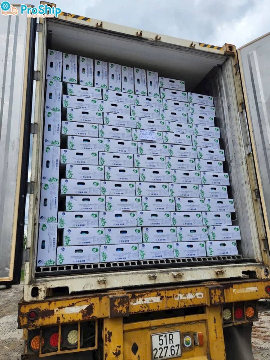Final Inspection and Reefer Loading