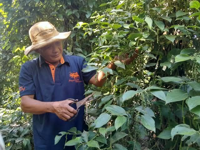Raw Material Sourcing
