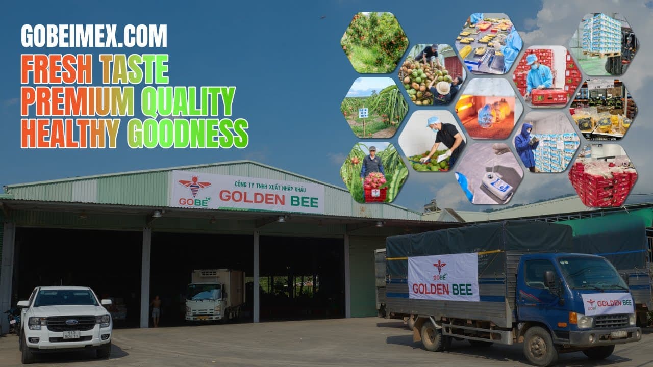 Golden Bee Import Export Company Limited