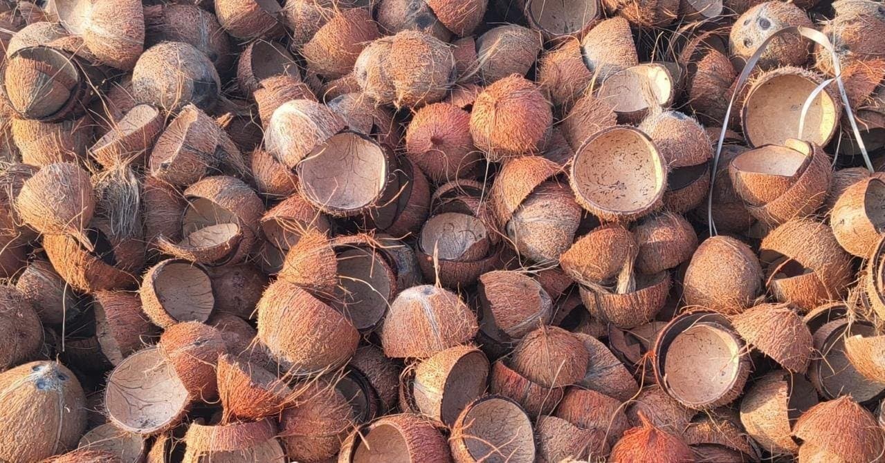 RFQ Raw Coconut Shells from India