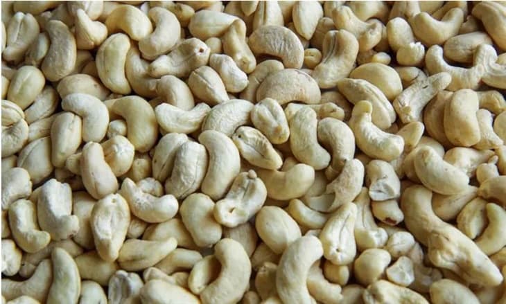 RFQ Cashew Nuts W180 / W240 / W320 from Turkey