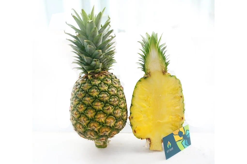 Pineapple MD2