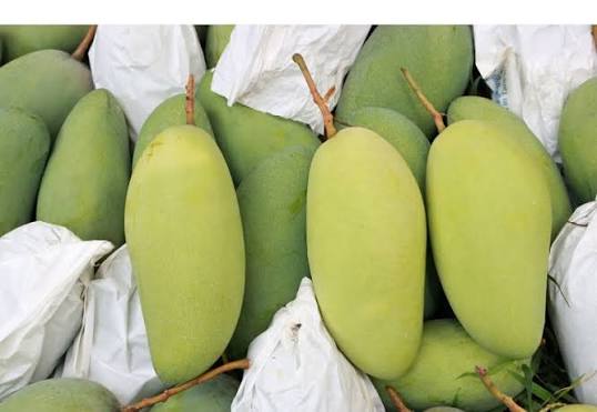 Xoài Việt Nam cao cấp