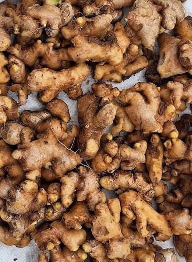 Premium Vietnamese Turmeric