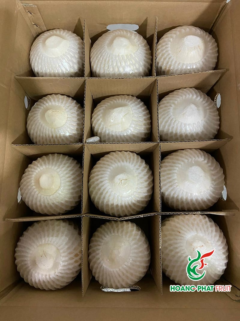 Coconut