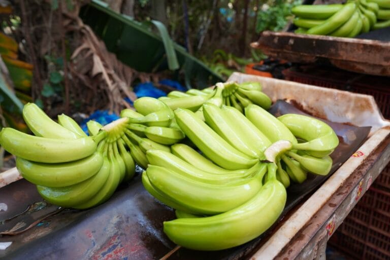 Fresh Cavendish Bananas