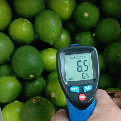 Fresh Vietnamese Seedless Lime
