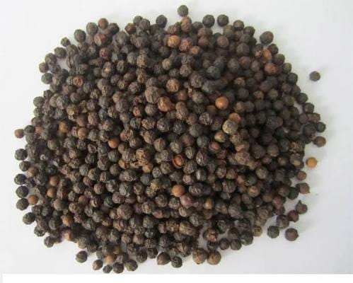 Black Pepper 550/570/580 GL FAQ