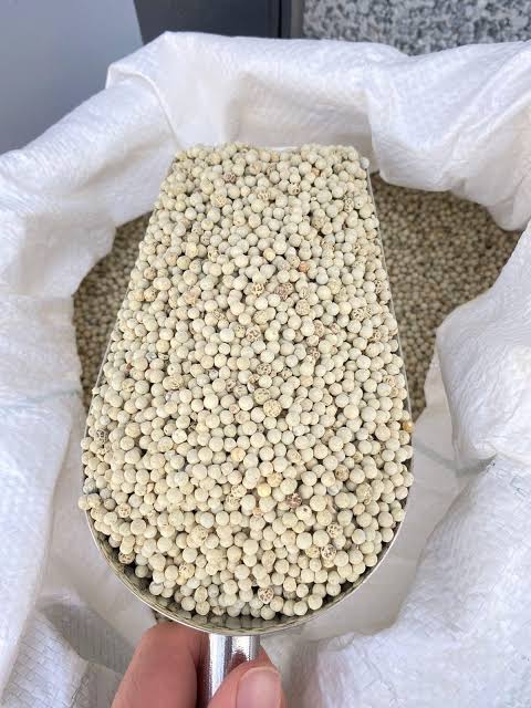 White Pepper 630 g/l