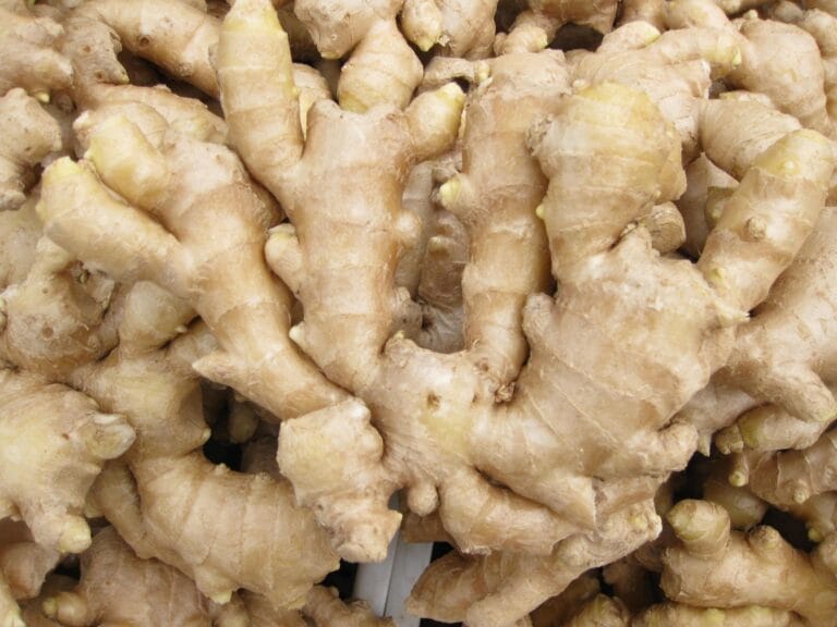Fresh ginger
