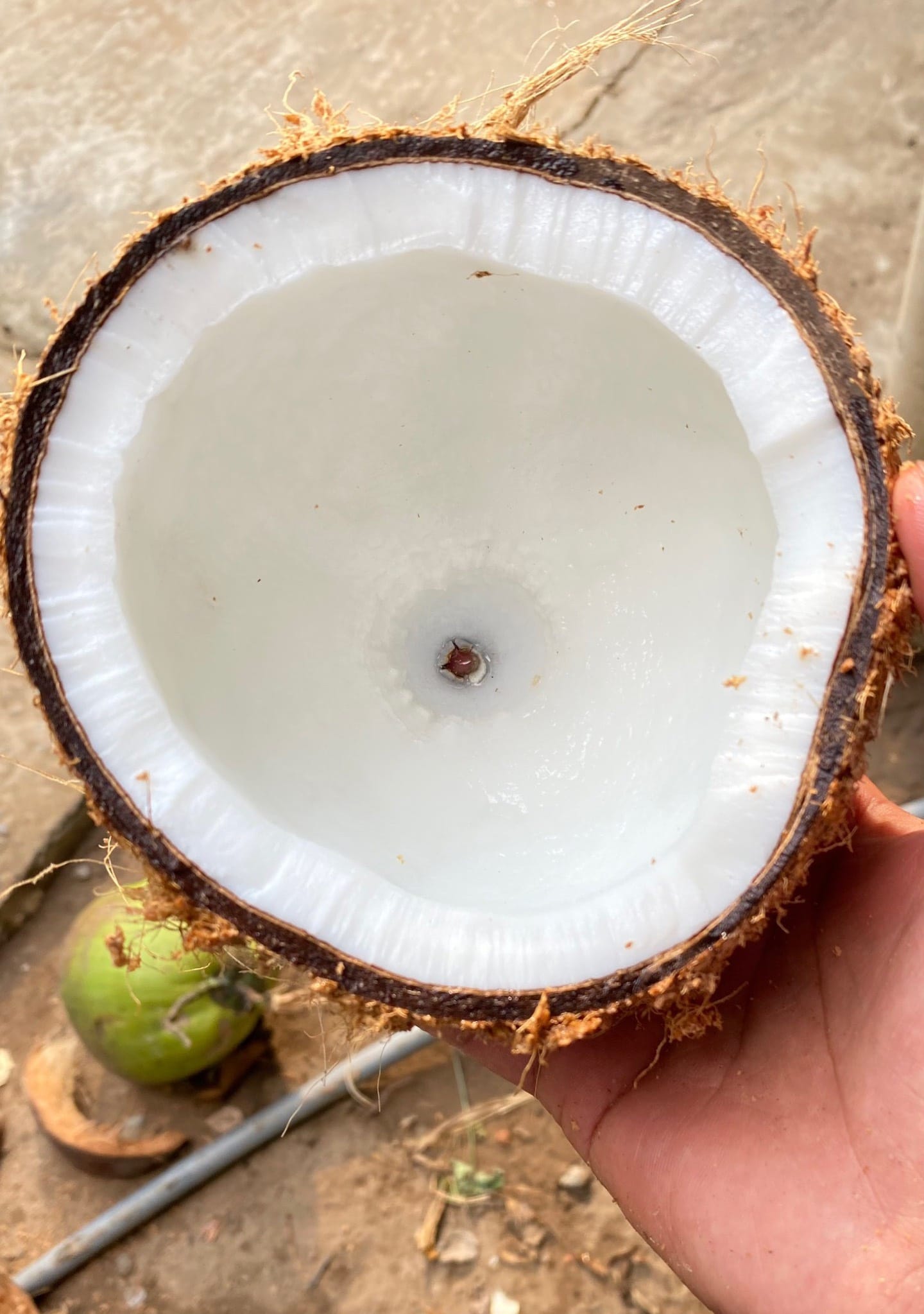 Dry coconut