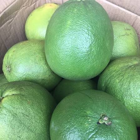 Green Pomelo