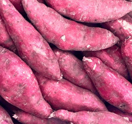Japanese Yellow Sweet Potatoes