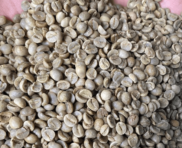 ROBUSTA GRADE 1 S18/16 CLEAN