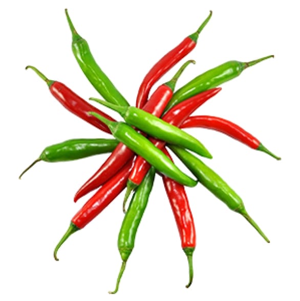 Bird eye chili