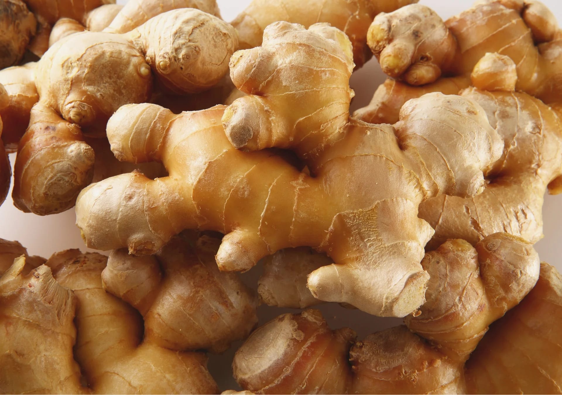 Ginger