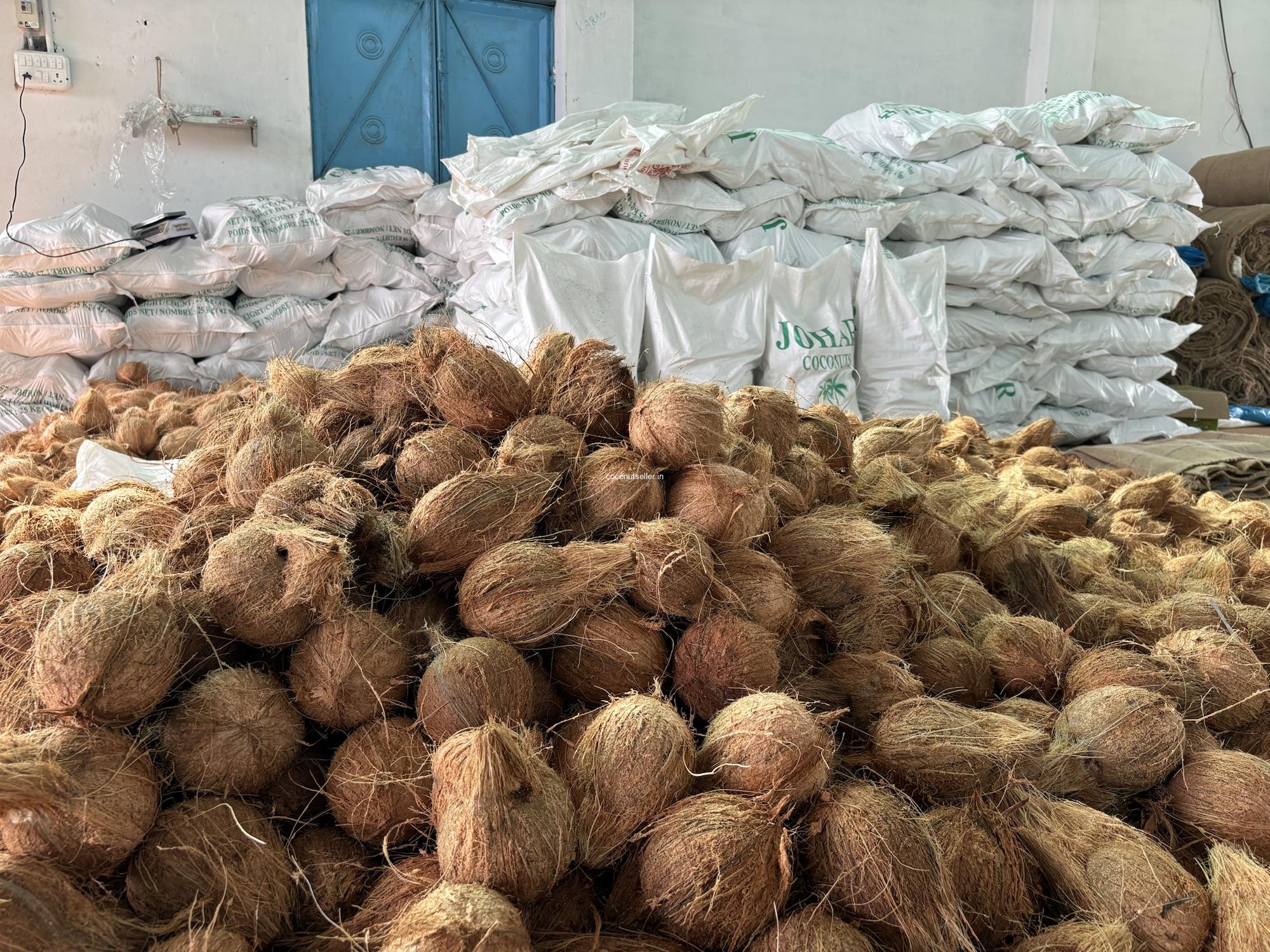 RFQ Dừa Già Bóc Vỏ từ Bangladesh | ViRFQ