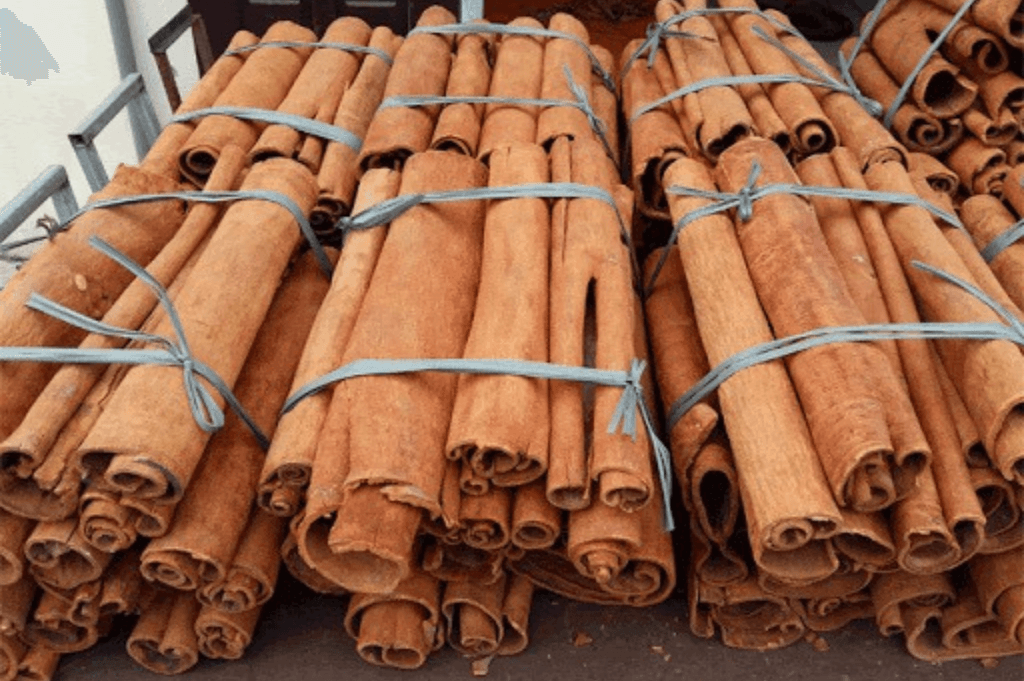 RFQ Quế (Thanh Chẻ / Thanh Nguyên) từ Ấn Độ | ViRFQ