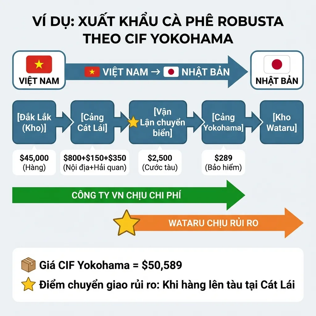 Quy trình xuất khẩu cà phê Robusta từ Việt Nam sang Nhật Bản theo điều kiện CIF