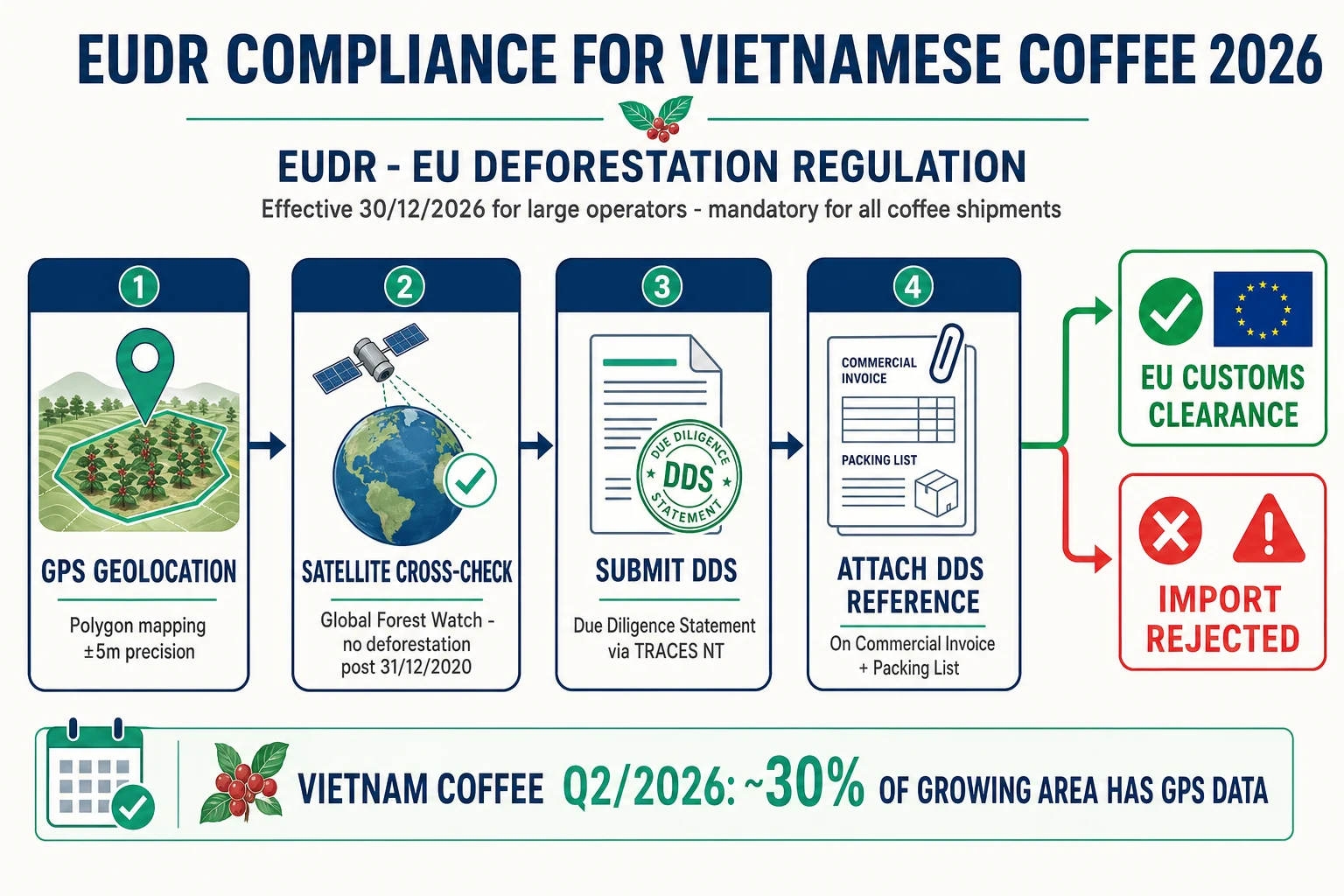 EUDR compliance flowchart for Vietnamese coffee GPS geolocation Due Diligence Statement EU customs clearance