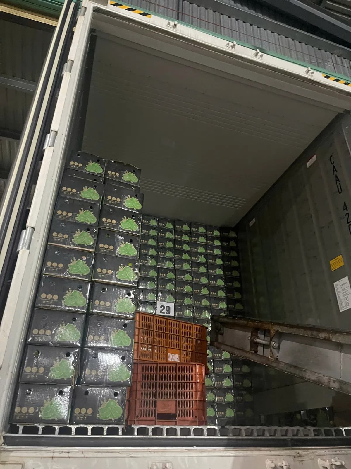 Cartons stacked inside the reefer container